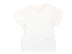 Name It top white alyssum